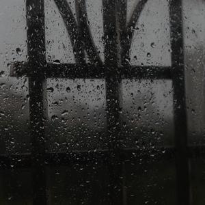 亚洲最猛黑人xxxx黑人猛交
